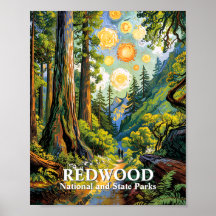 Sendero de excursión del Parque Nacional Redwood V