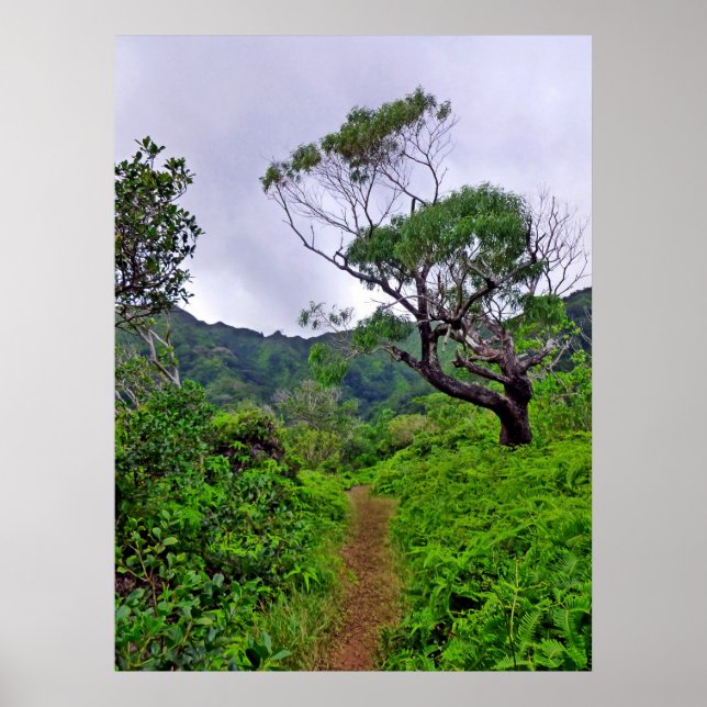 Póster Sendero de Hawái (Frente)