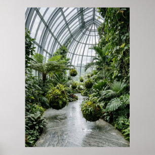 Póster Sendero de la Jungla del Invernadero Tropical