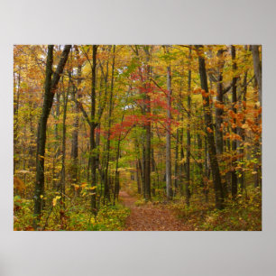 Póster Sendero de Laurel Hill en Otoño
