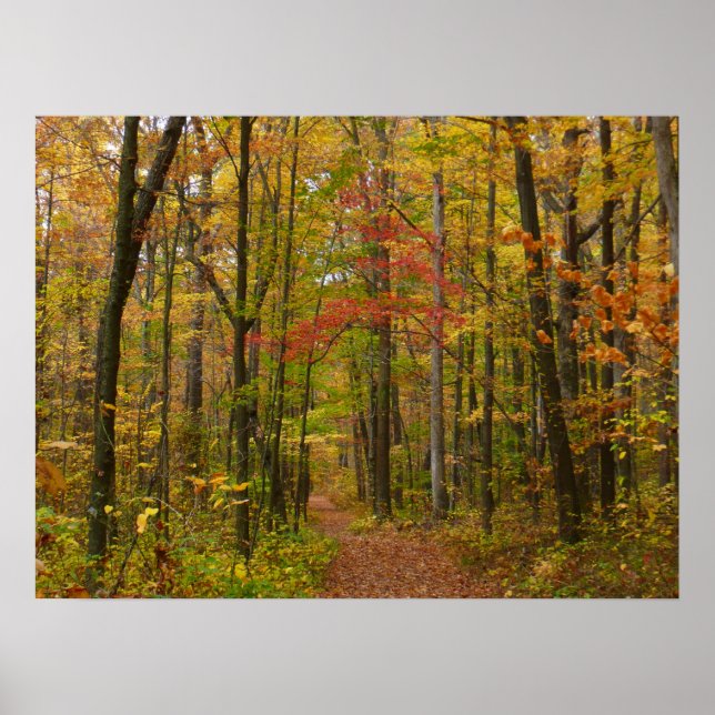 Póster Sendero de Laurel Hill en Otoño (Frente)