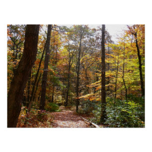 Póster Sendero de Otoño Iluminado por el Sol en Laurel Hi