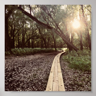 Póster sendero de puntos de arena minnesota