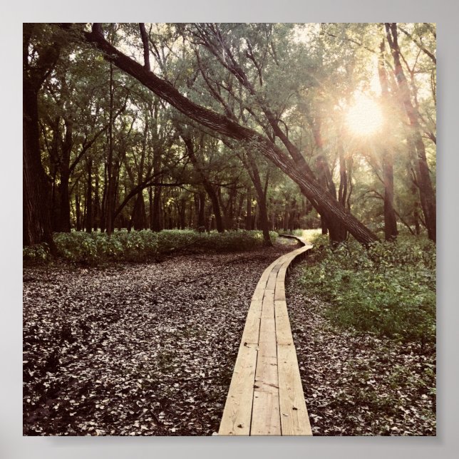 Póster sendero de puntos de arena minnesota (Frente)