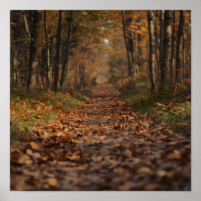Póster Sendero del Bosque de Otoño (Frente)