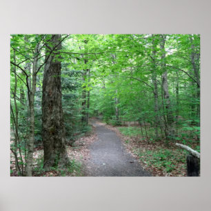 Póster Sendero del lago Lonesome en New Hampshire