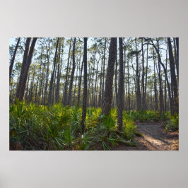 Póster Sendero del Parque Montículo de Conchas, Isla Daup