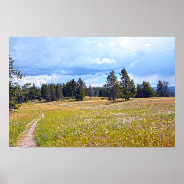 Póster Sendero del prado del Parque Nacional Yellowstone (Frente)