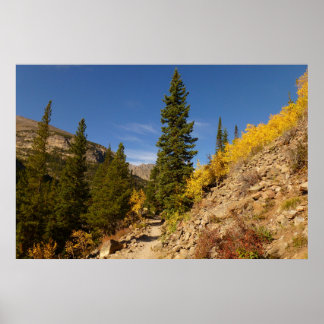 Póster Sendero desde el Loch en las Montañas Rocosas