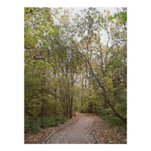 Póster Sendero Dorado de Otoño en el Bosque
