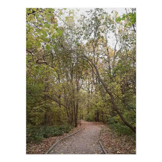 Póster Sendero Dorado de Otoño en el Bosque (Anverso)