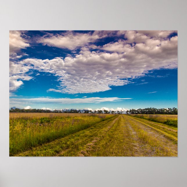 Póster Sendero en el Parque Estatal Kissimmee Prairie Pre (Frente)