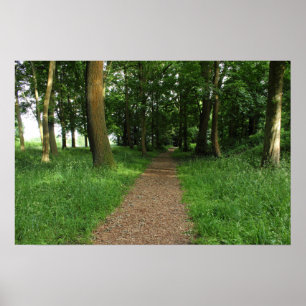 Póster Sendero en los bosques, Bute Park, Cardiff