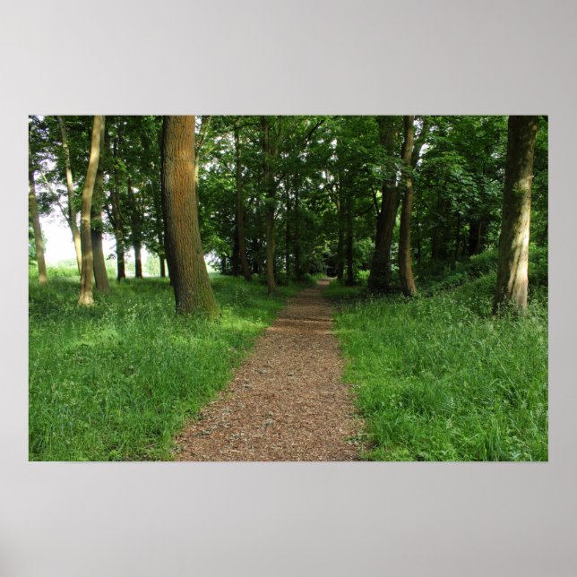 Póster Sendero en los bosques, Bute Park, Cardiff (Frente)