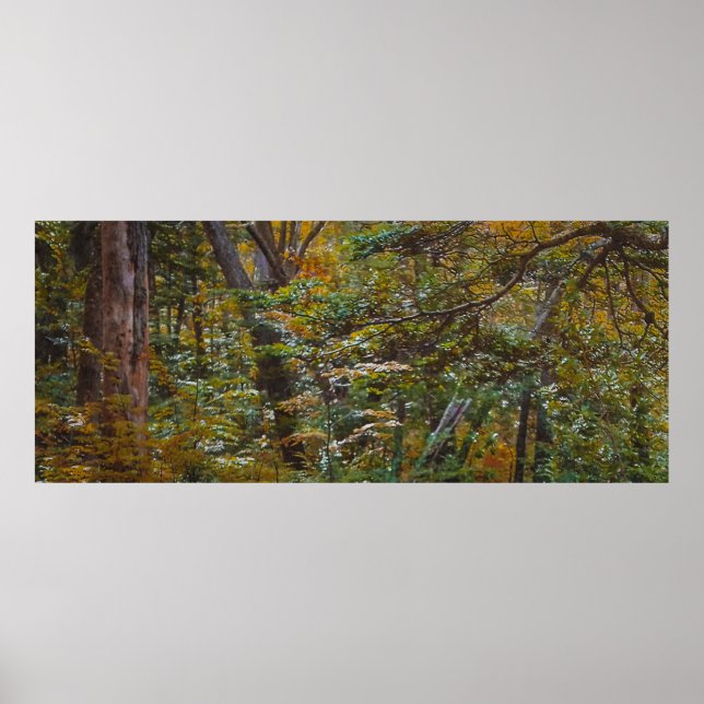 Póster Sendero forestal encantado (Frente)