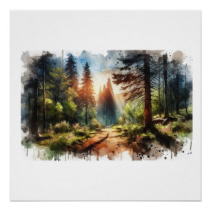 Póster Sendero forestal iluminado por el sol, 