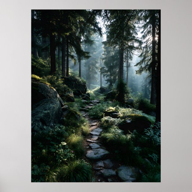 Póster Sendero forestal iluminado por el sol a través de  (Frente)