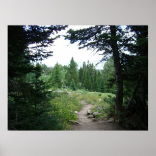 Póster Sendero Grand Teton