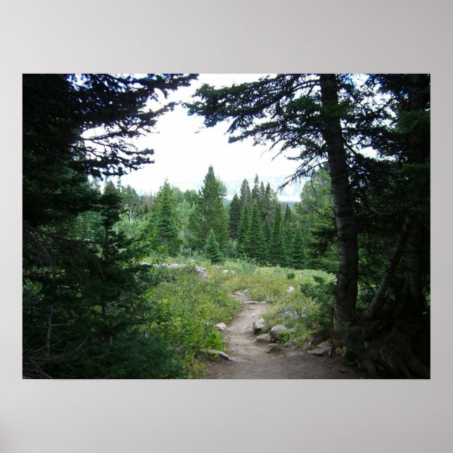 Póster Sendero Grand Teton (Frente)