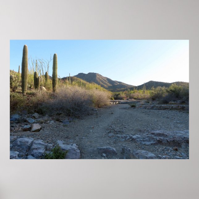 Póster Sendero King Canyon I (Frente)
