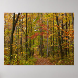 Póster Sendero Laurel Hill en otoño