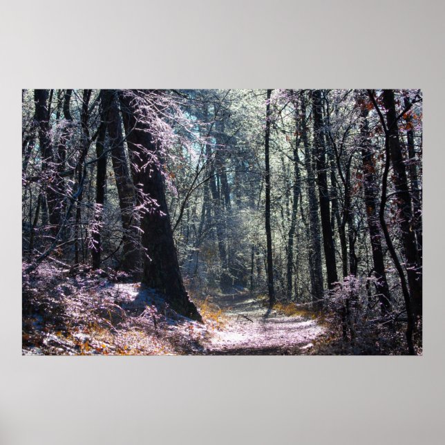 Póster Sendero Mt Pink and Green Ice Forest (Frente)