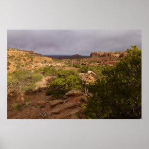 Póster Sendero Neck Springs en el Parque Nacional Canyonl