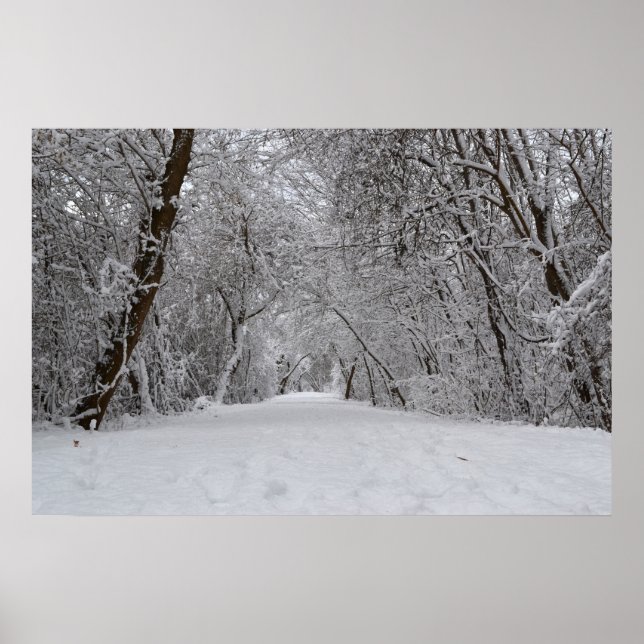 Póster Sendero Snowy (Frente)