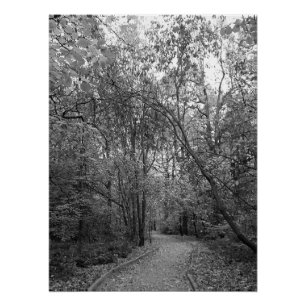 Póster Sendero tranquilo del bosque otoñal – Edición nórd