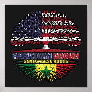 Póster Senegal Senegalés Estados Unidos de América Estado
