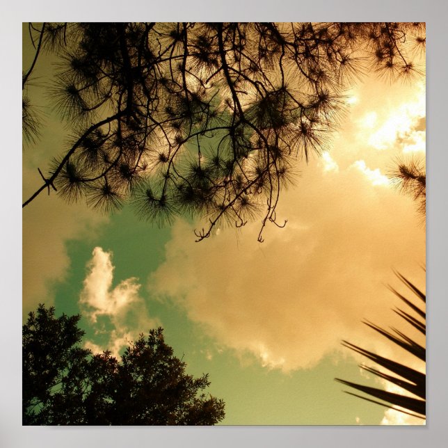 Póster Senic Sky (Frente)