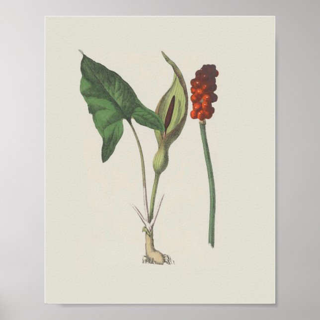 Póster Señor y Damas (Frente)