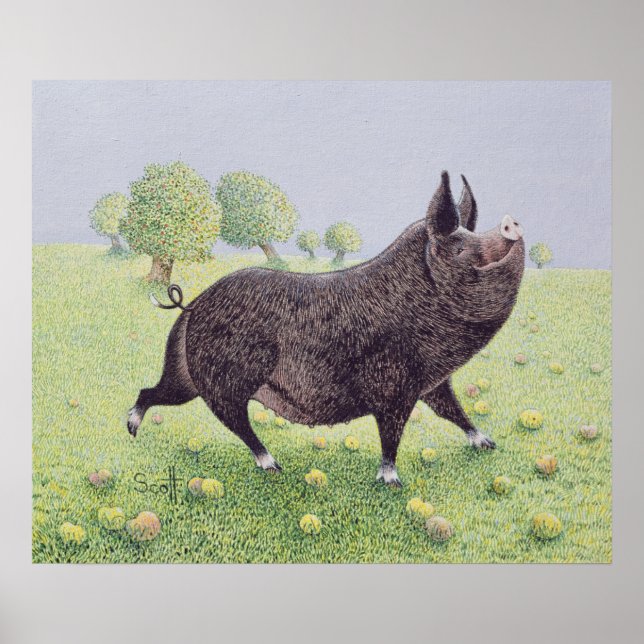 Póster Sensación grande (Frente)