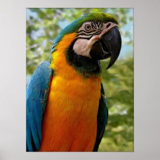 Póster Sentado Para Usted