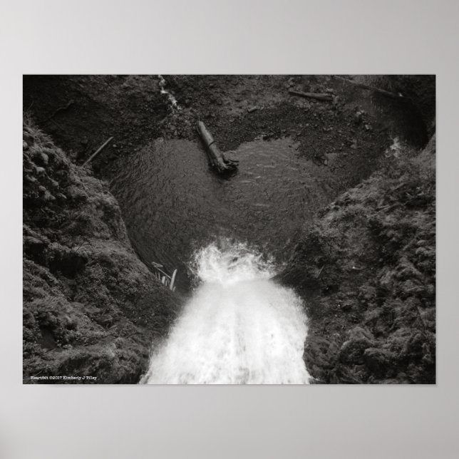 Póster Sentido (Frente)