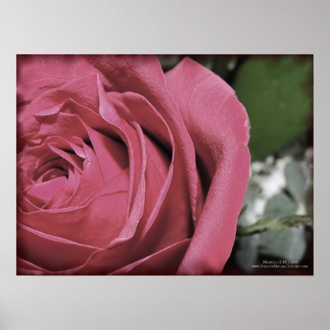 Póster Sentimientos Delicados (Frente)