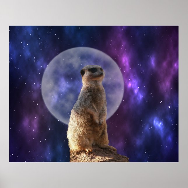 Póster Sentinel cósmico: Meerkat bajo la luna llena (Frente)