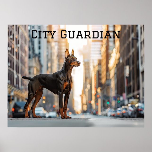 Póster Sentinel de la ciudad: Doberman en la selva urbana (Frente)