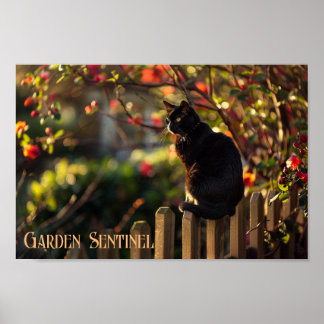 Póster Sentinel en el jardín: Gato negro en flor