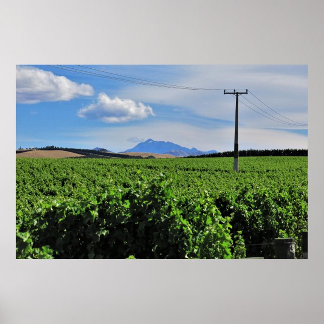 Póster Sentinel Over the Vineyard (Frente)