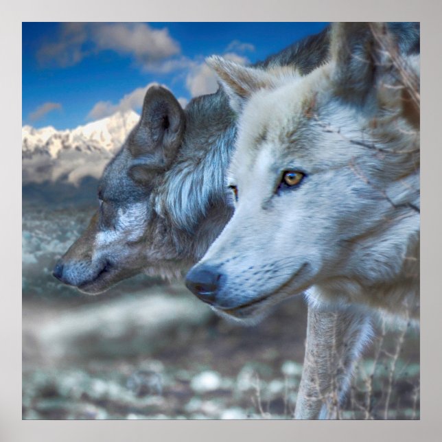 Póster Sentinelas del Lobo Gris (Frente)