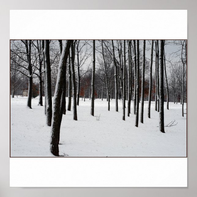 PÓSTER SENTRIAS (Frente)