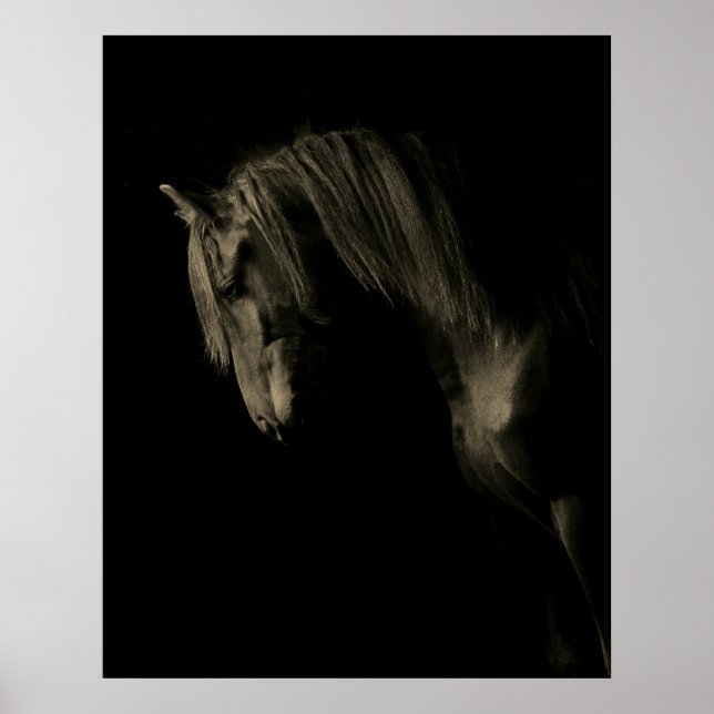 Póster Sepia Black Horse (Frente)