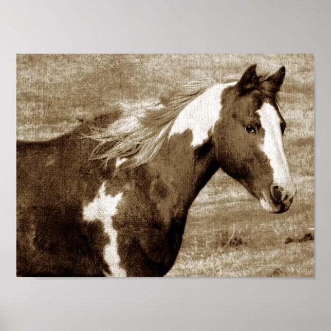 Póster Sepia Flashy Mare (Frente)