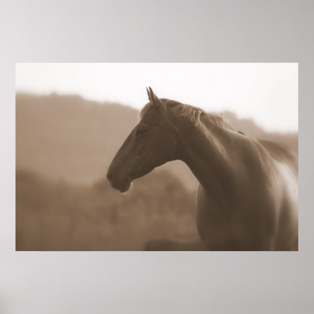 Póster Sepia Silhouette Gran Poster Básico (Frente)