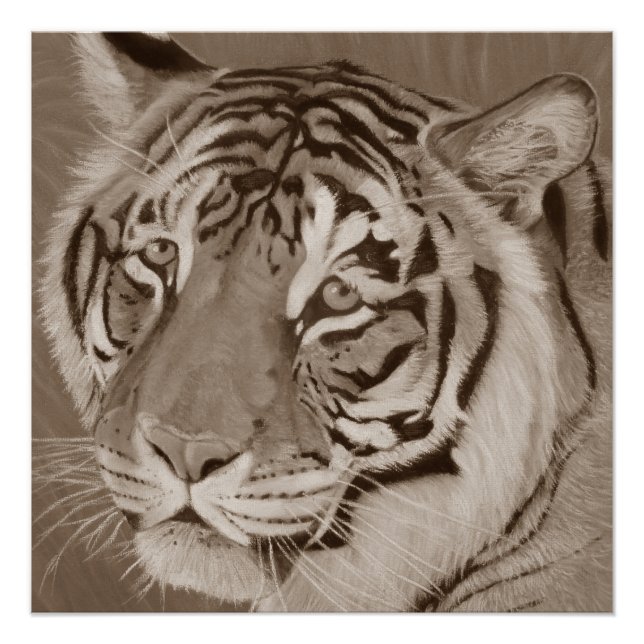 Póster sepia tiger gran cat original vida silvestre arte  (Anverso)