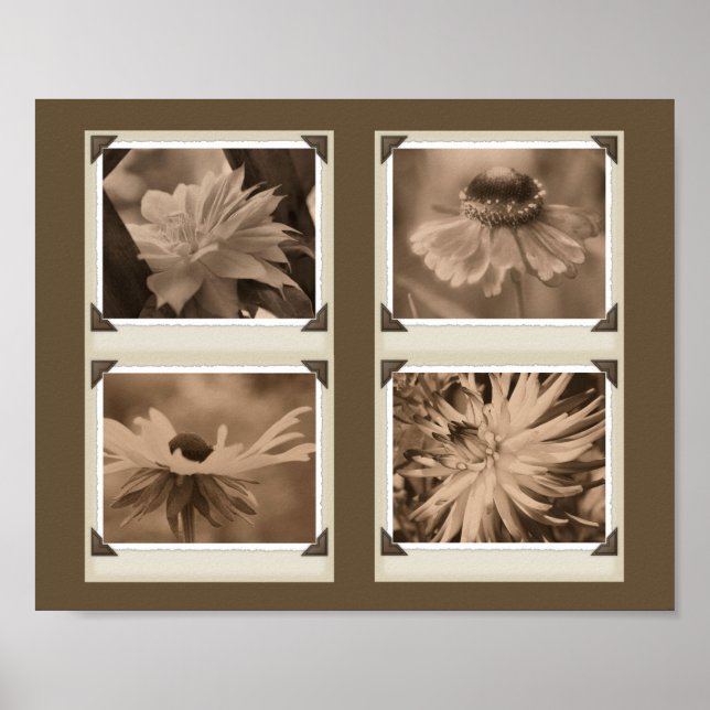 Póster Sepia Tint Flowers Collage Nature (Frente)