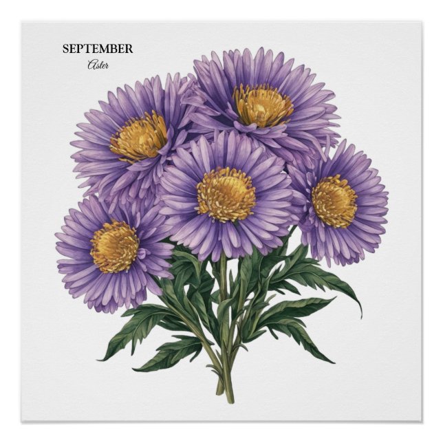 Póster Septiembre Aster Nacimiento Mes Personalizado Arte (Anverso)