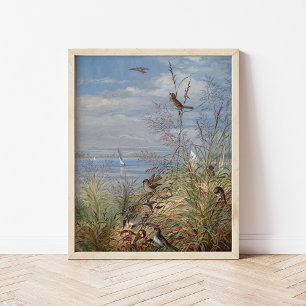 Póster Septiembre   Fidelia Bridges