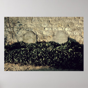 Póster Sepulcros de Vincent van Gogh el , Vincent, Theo